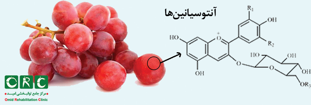 آنتوسیانین‌ها