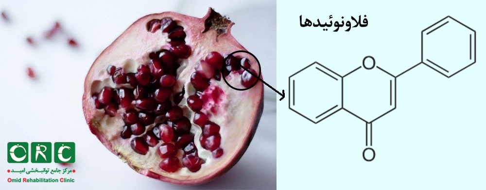 فلاونوئیدها جهت تقویت مفاصل