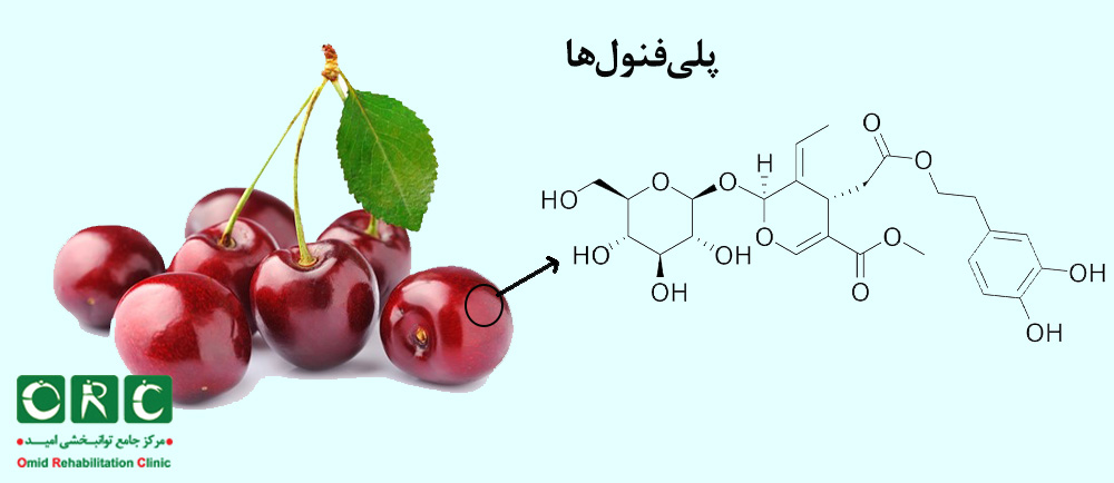پلی‌فنول‌ها