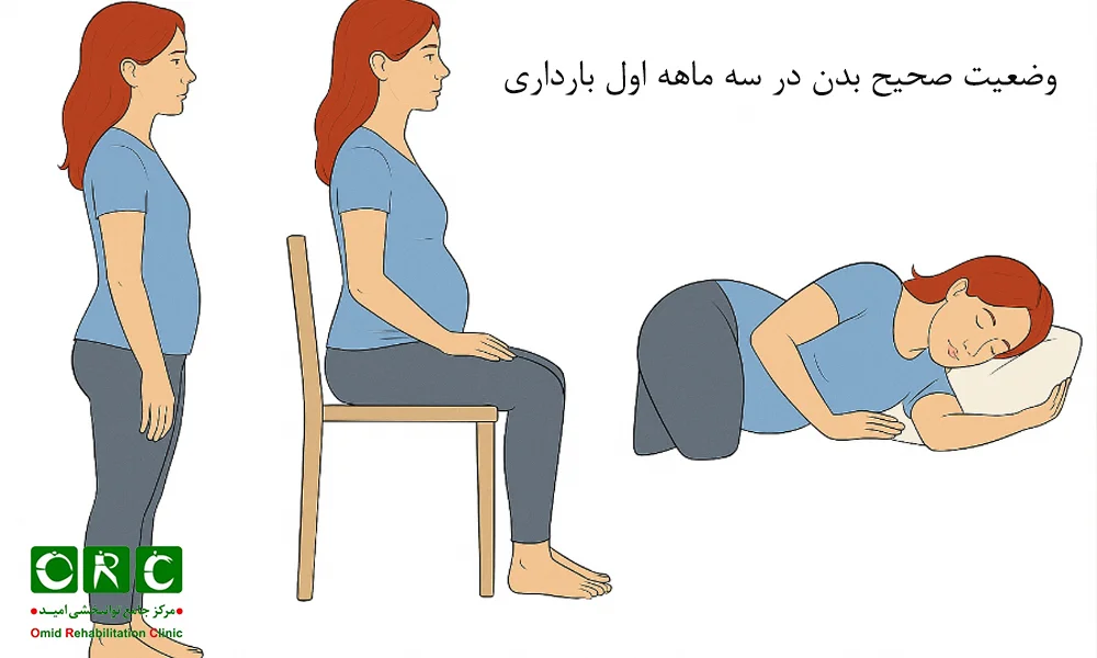 وضعیت صحیح بدن در سه ماهه اول بارداری