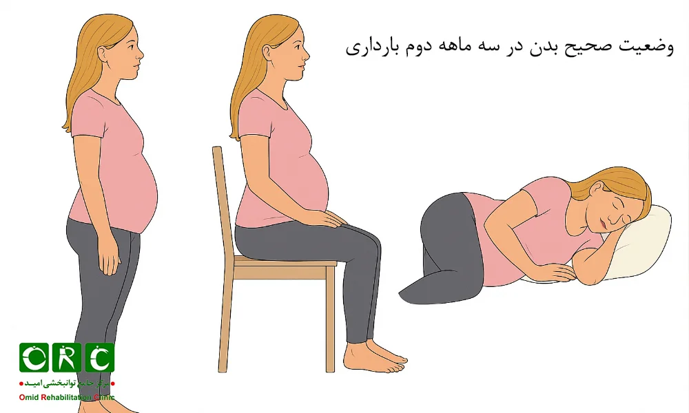 وضعیت صحیح بدن در سه ماهه دوم بارداری
