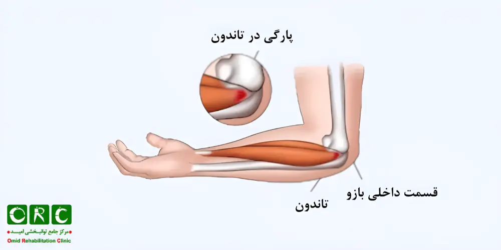 گلف البو
